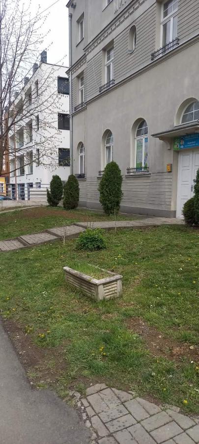 Vila Miletic Врнячка-Баня Экстерьер фото