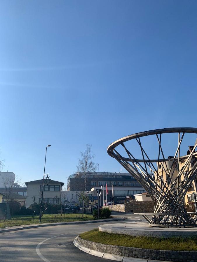 Vila Miletic Врнячка-Баня Экстерьер фото